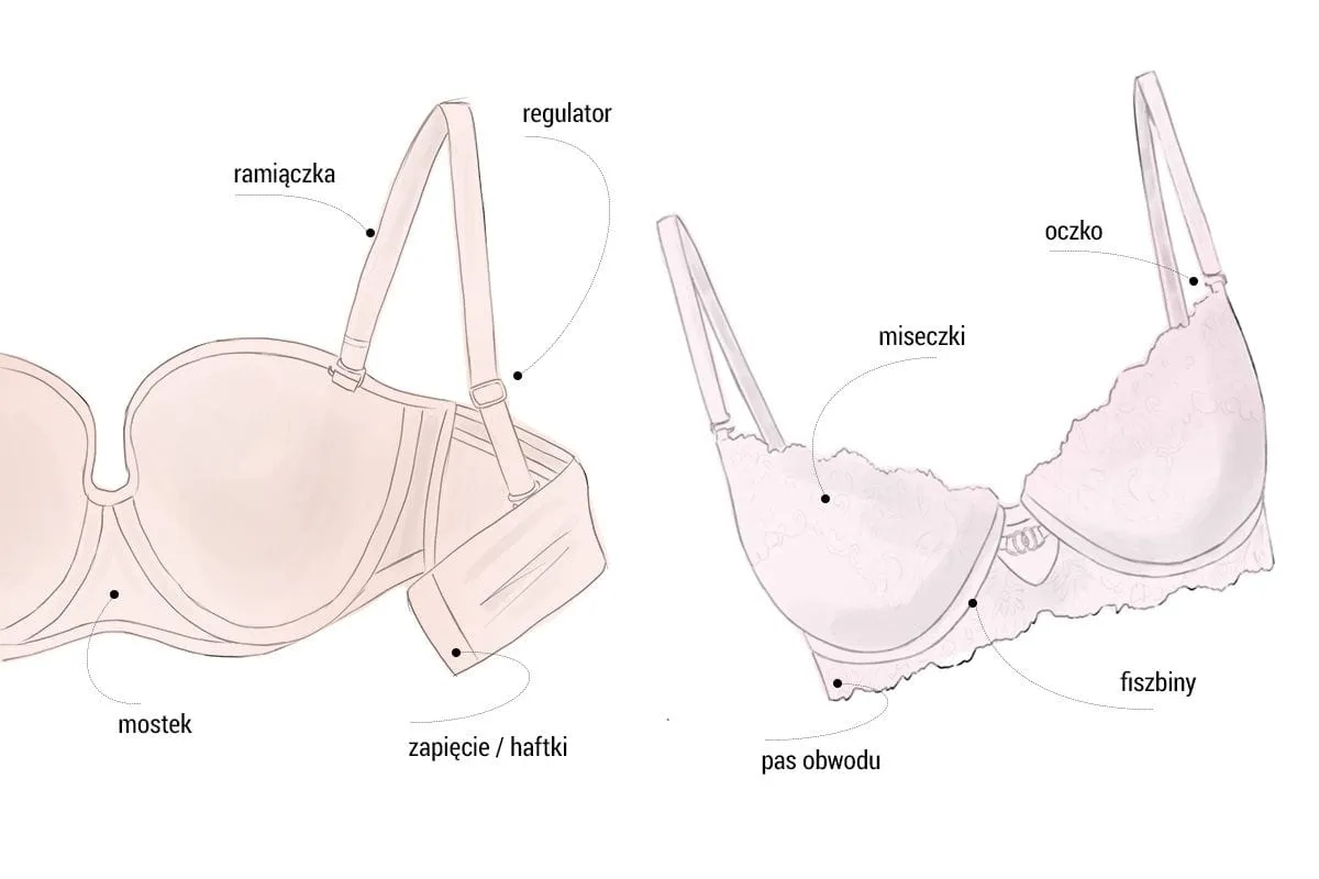 Miseczka F jaki to rozmiar? Zrozum różnice i dobierz idealnie