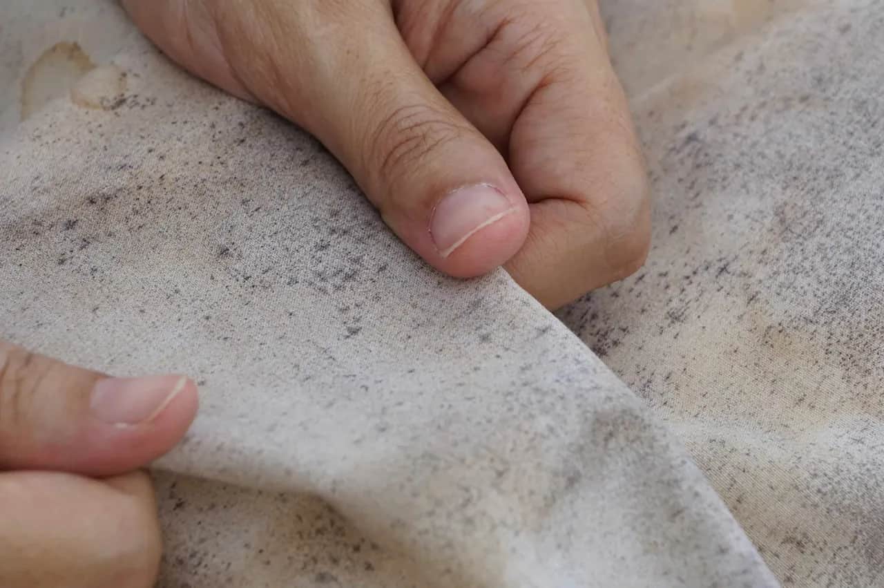 Skuteczne sposoby na pleśń na ubraniu – jak szybko usunąć plamy